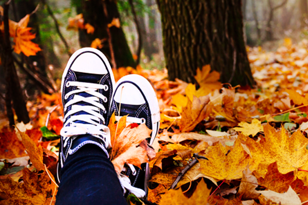 Fall leaves