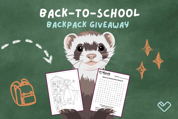Back to School giveaway 2026