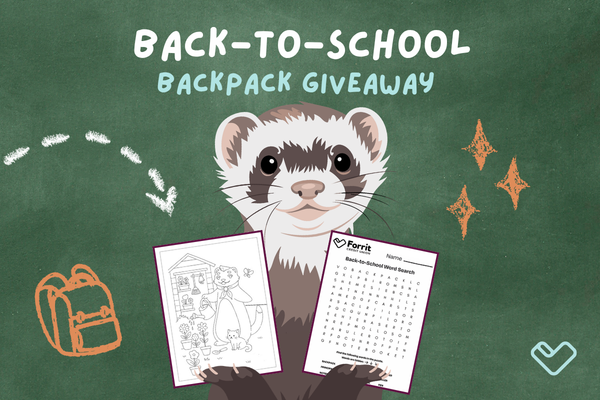 Back to School Giveaway 2026